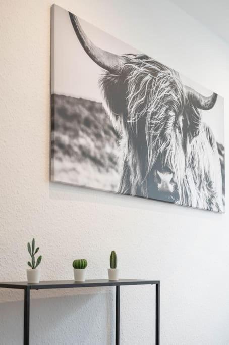 Apartmán Casa Aguila - Viernheim Exteriér fotografie