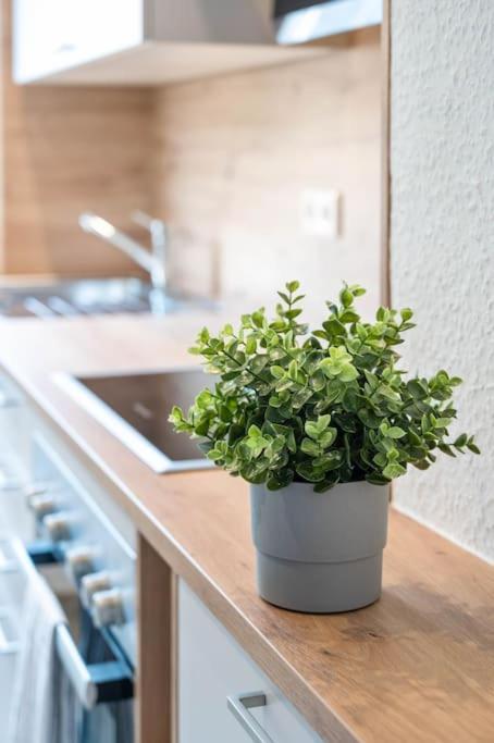 Apartmán Casa Aguila - Viernheim Exteriér fotografie